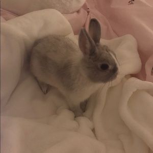 Meet your Posher, Selena